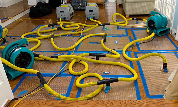Professional Water Damage Repair technician working in Montezuma, IA